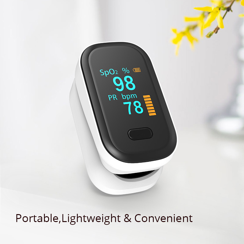 HN-80B(图16)